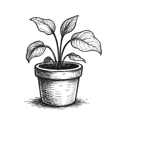 Ink drawing of a small potted plant.